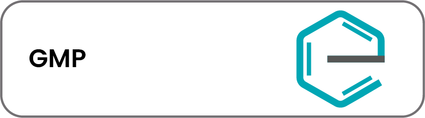 GMP